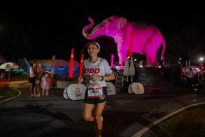 BIB: 
                            <button type="button" onclick="openModal(26552224)" class="btn btn-primary btn-sm float-right btn-popup" data-toggle="modal" data-target=".modal-high-quality">
                        <i class="fas fa-shopping-cart"></i> Add to Cart
                    </button>
                                            <button type="button" onclick="isThisMe(26552224, true)" class="btn btn-success btn-sm float-right btn-popup btn-isme hidden" data-toggle="tooltip" data-placement="bottom" title="นี่คือรูปของคุณใช่ไหม คลิกที่นี่เพื่อเอาเข้าอัลบั้ม">
                        <i class="fas fa-plus"></i> Add to album
                    </button>
                    <button type="button" onclick="isThisMe(26552224, false)" class="btn btn-warning btn-sm float-right btn-popup btn-isnotme hidden">
                        <i class="fas fa-ban"></i> Remove from album
                    </button>